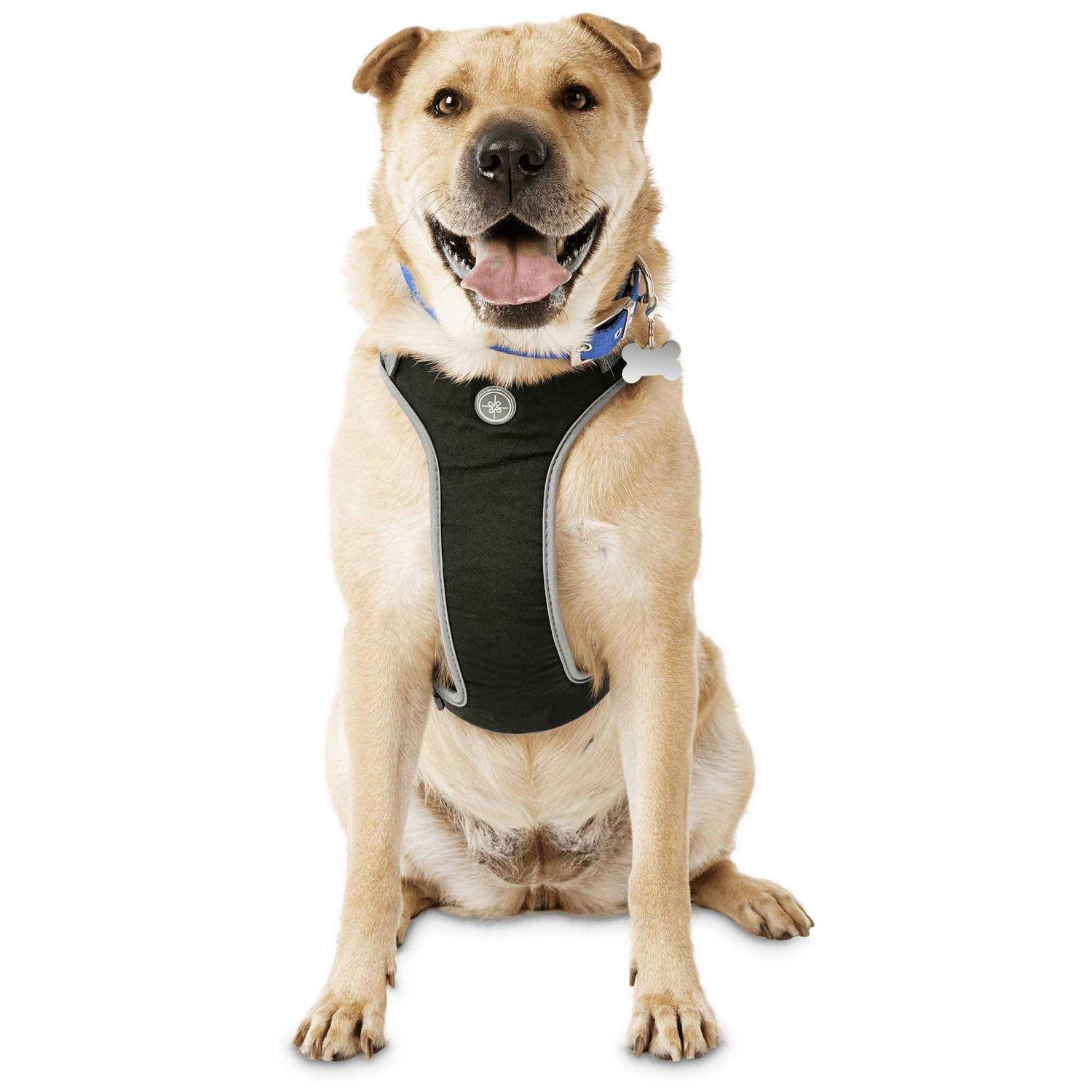 Youly The Classic Black Harness for Large Dog - Healthber