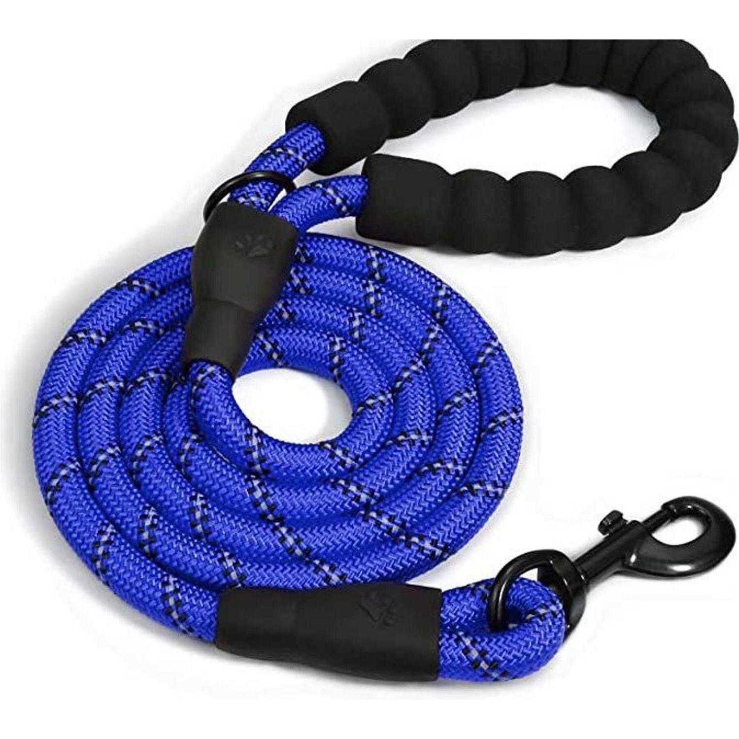 Doggy Tales Braided Dog Leash - Healthber