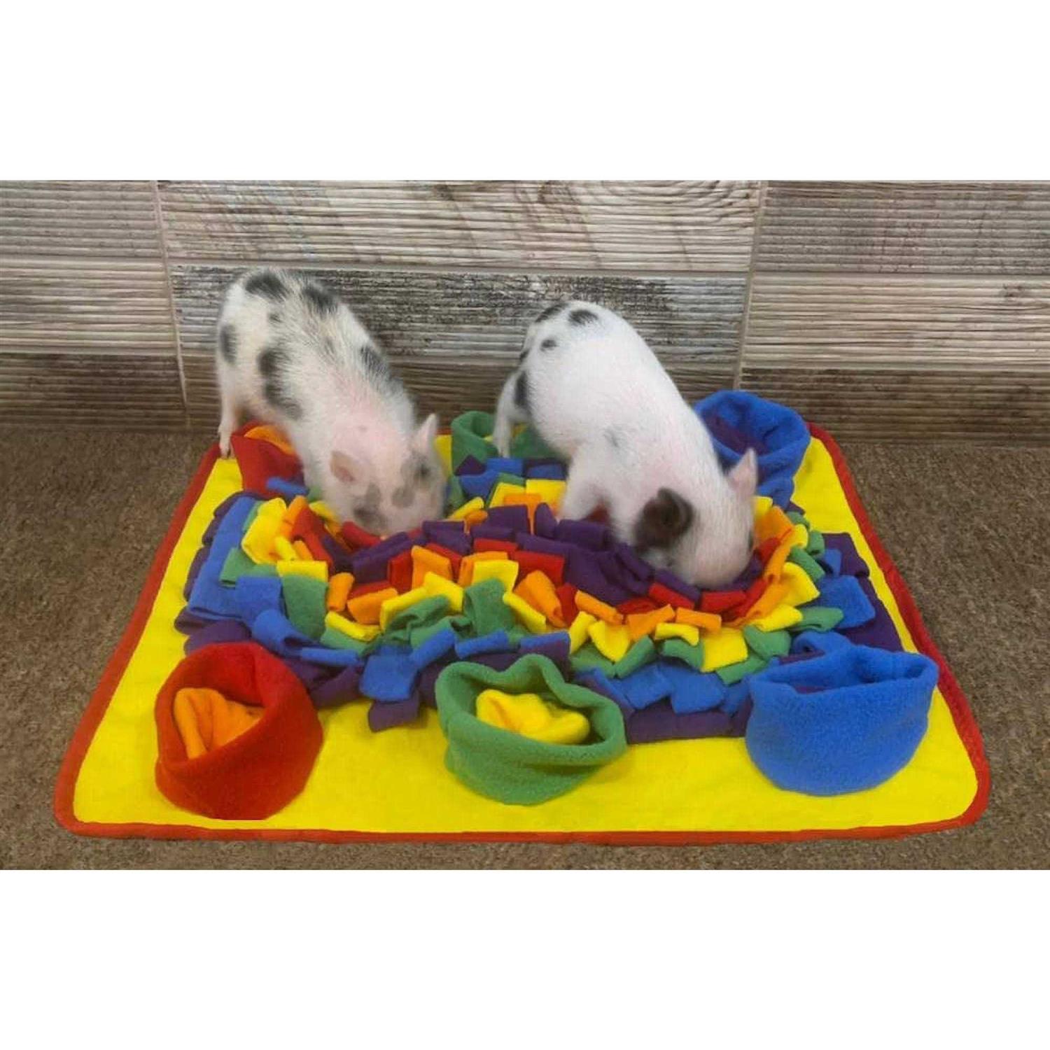 Piggy Poo and Crew Rainbow Pet Snuffle Mat - Healthber