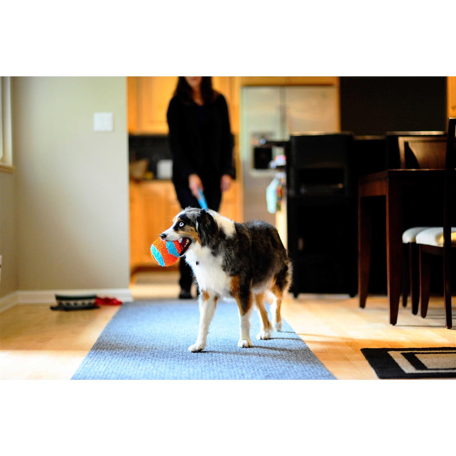 Chuckit 213201 Indoor Ball Dog Toy - Healthber