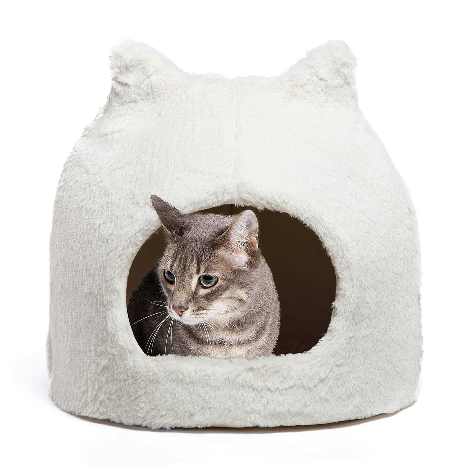 Best Friends by Sheri Meow Hut Fur - Healthber