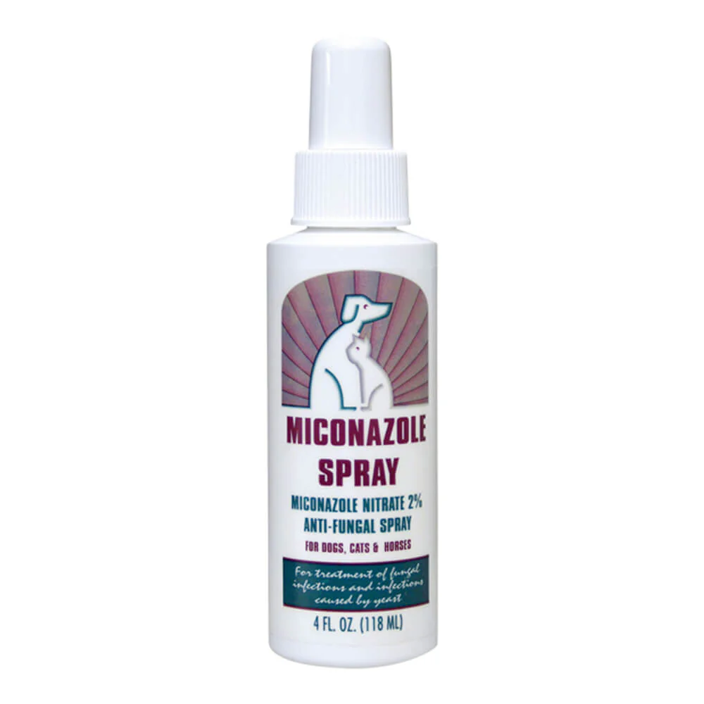 Rx Miconazole (miconazole nitrate 2%) Anti-Fungal Spray, 4 oz Bottle - Healthber