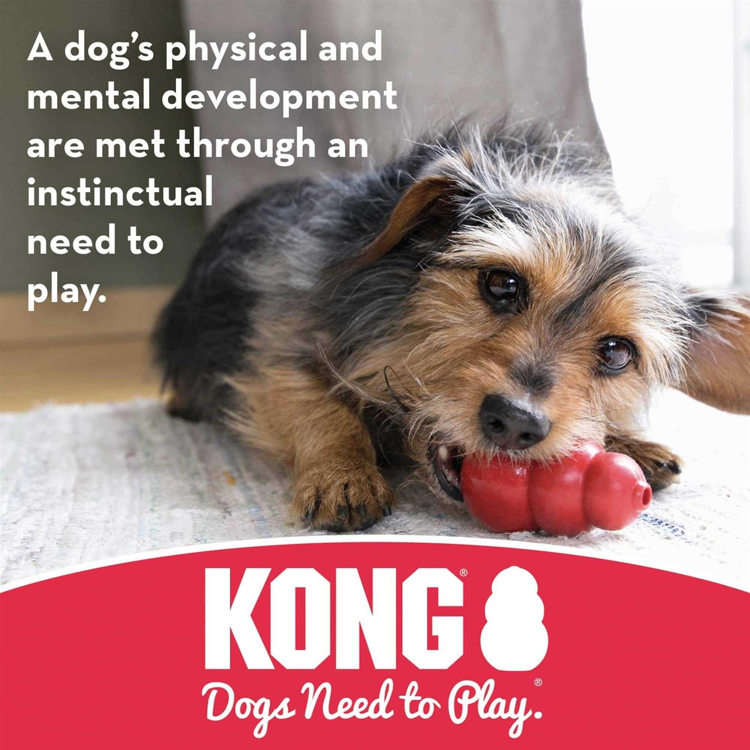KONG Extreme Goodie Bone Dog Toy - Healthber
