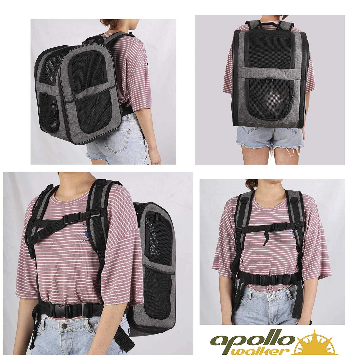 Apollo walker Pet Carrier Backpack for Large/Small Cats and Dogs, Puppies, Safety Features and Cushion Back Support for Travel - Healthber