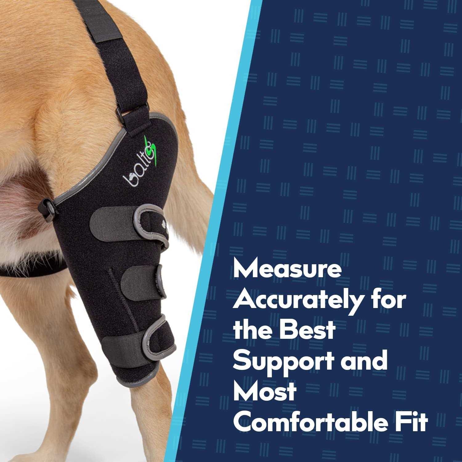 Balto Sport Agile CCL Brace Knee Support for Dogs Soft - Healthber