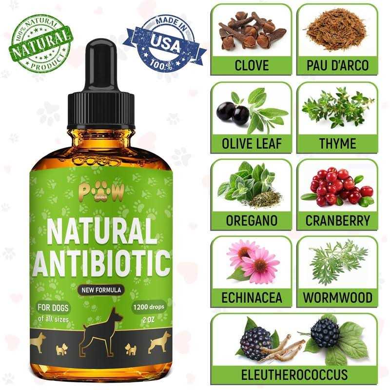 Golden Paw Natural Antibiotics for Dogs Dog Liquid Antibiotics Supports Dog Allergy Relief - Healthber