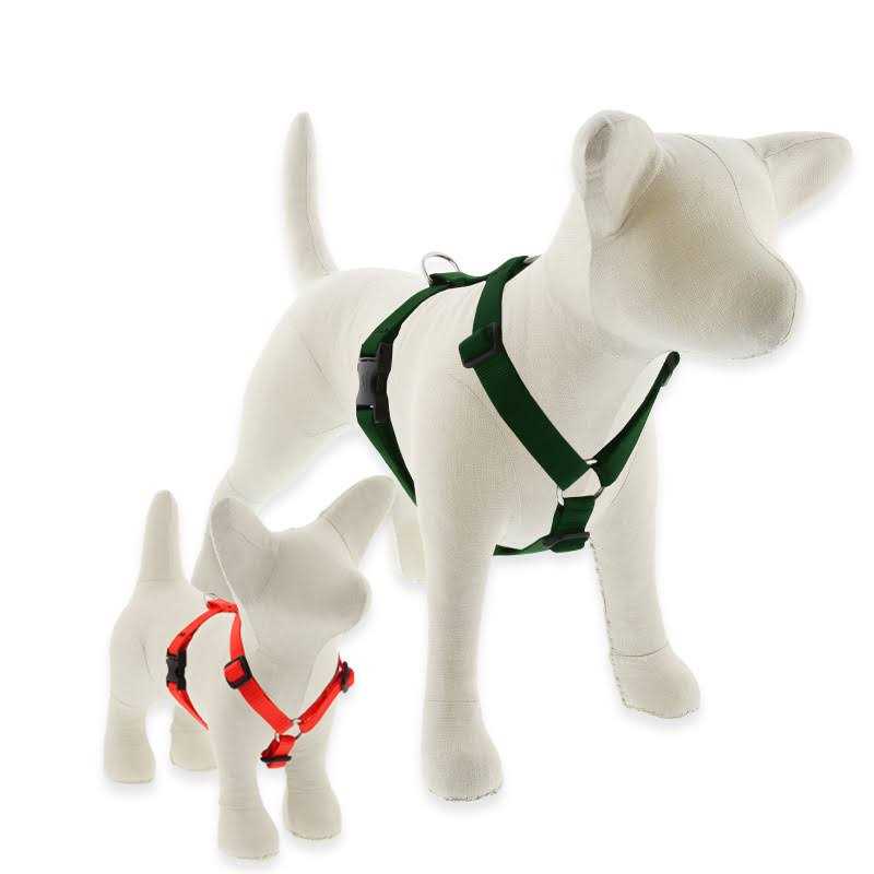 LupinePet Dog Roman Harness - Healthber