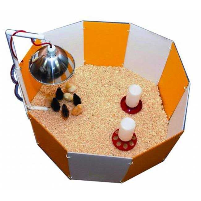 Baby Chick Starter Home Orange & White 3700 - Healthber