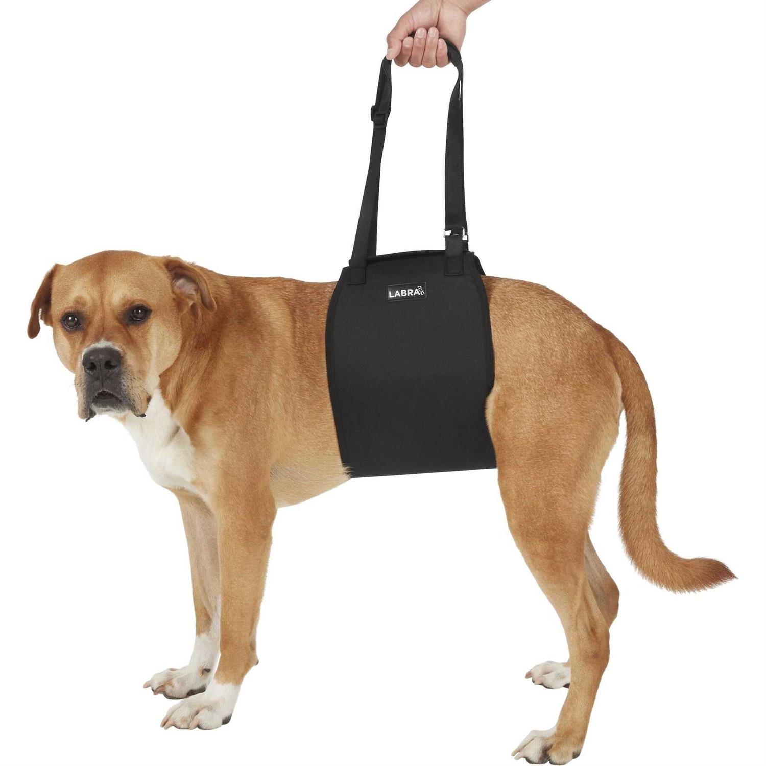 Labra Veterinarian Approved Dog Canine K9 Sling Lift Adjustable Straps Support Harness Helps with Loss of Stability Caused by Joint Injuries and - Healthber