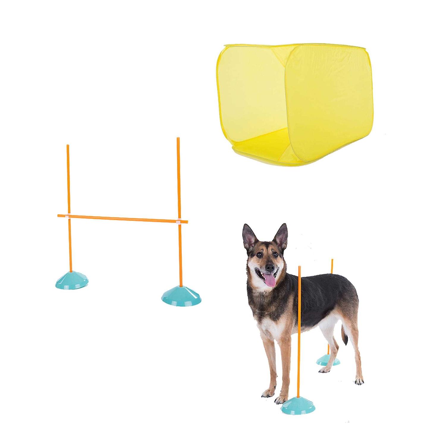 Outward Hound Indoor Dog Agility Kit - Healthber
