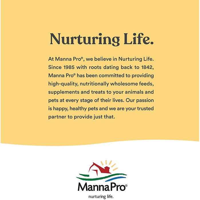 Manna Pro Hen Healer Multi-Purpose Ointment - Healthber