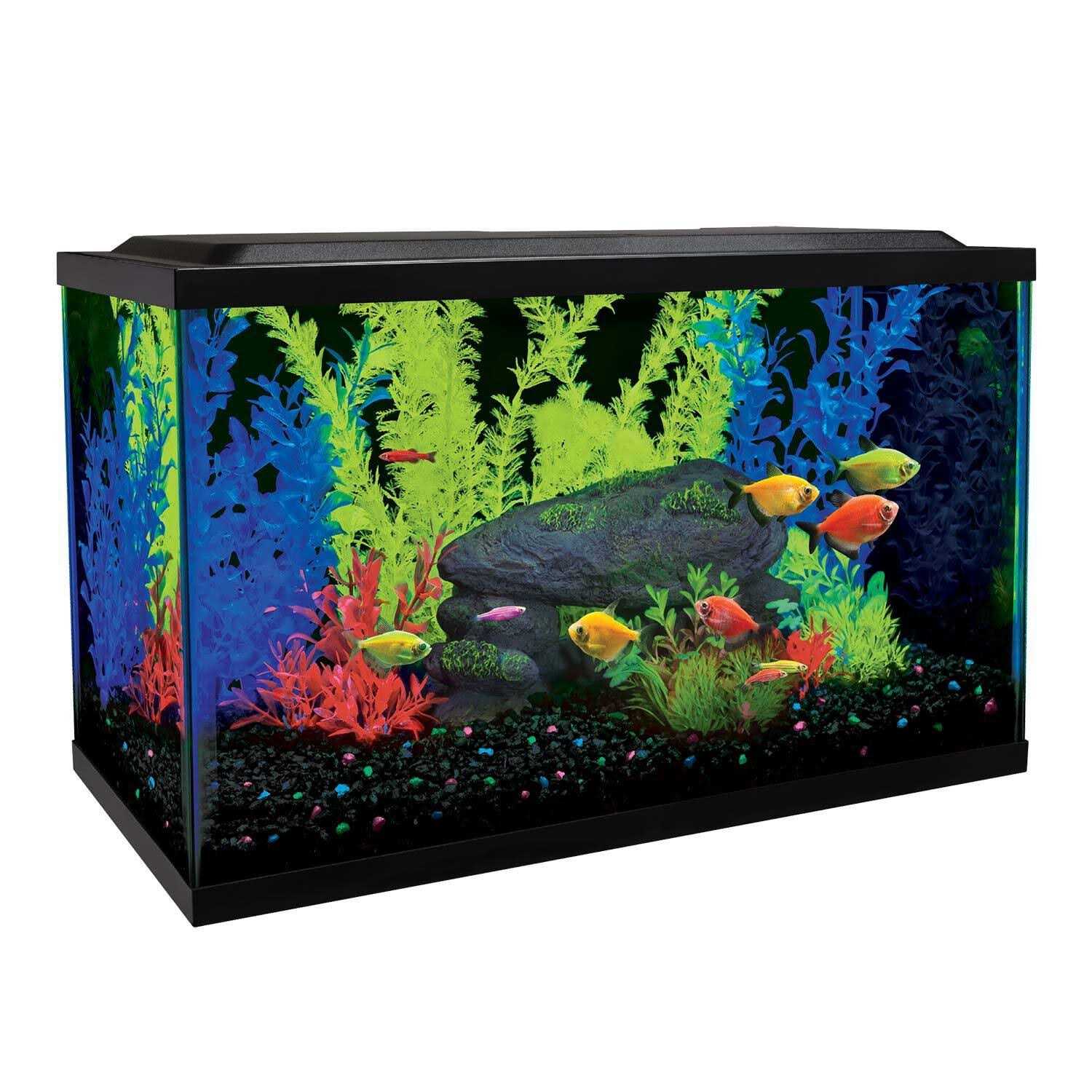 Glofish 10 Gallon Aquarium Kit - Healthber