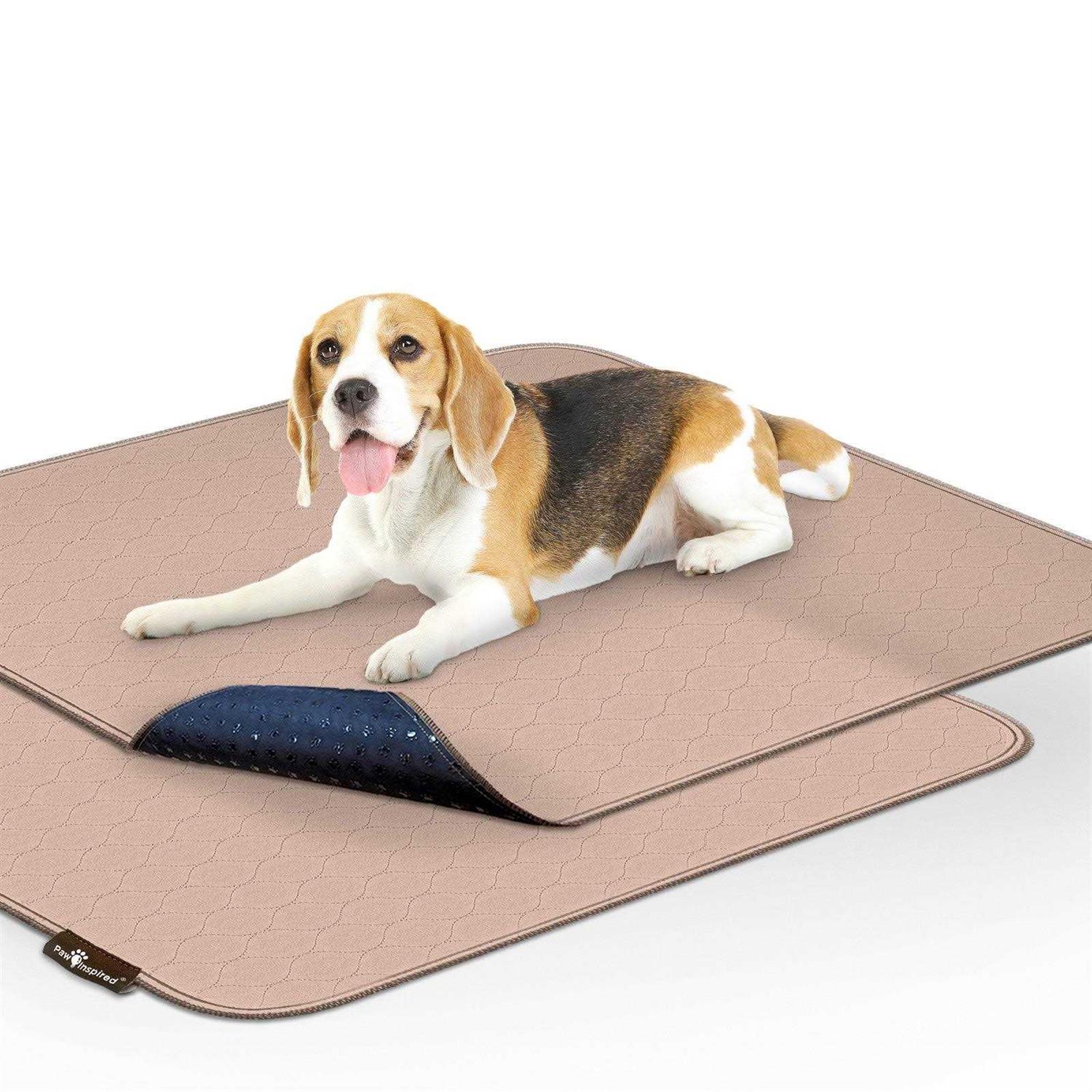 Paw Inspired Washable Pee Pads for Dogs Reusable Puppy Pads - Healthber
