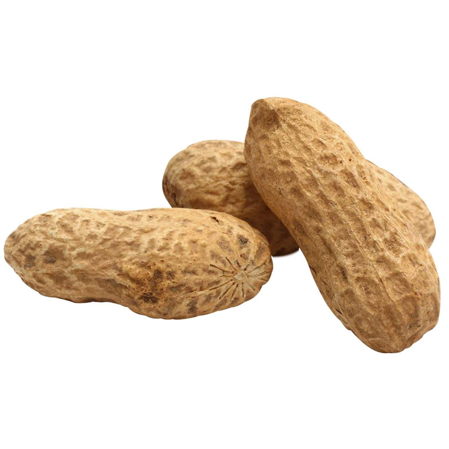 Song Blend Unsalted In-Shell Whole Peanuts Bird Food - Healthber