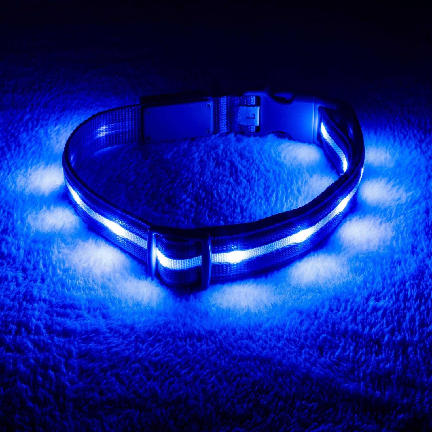 Blazin LED Light Up Dog Collar 1,000 Feet of Visibility - Healthber