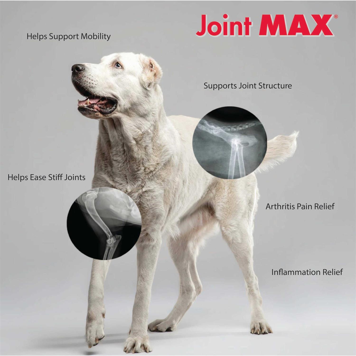 Joint MAX Triple Strength Soft Chews - Healthber