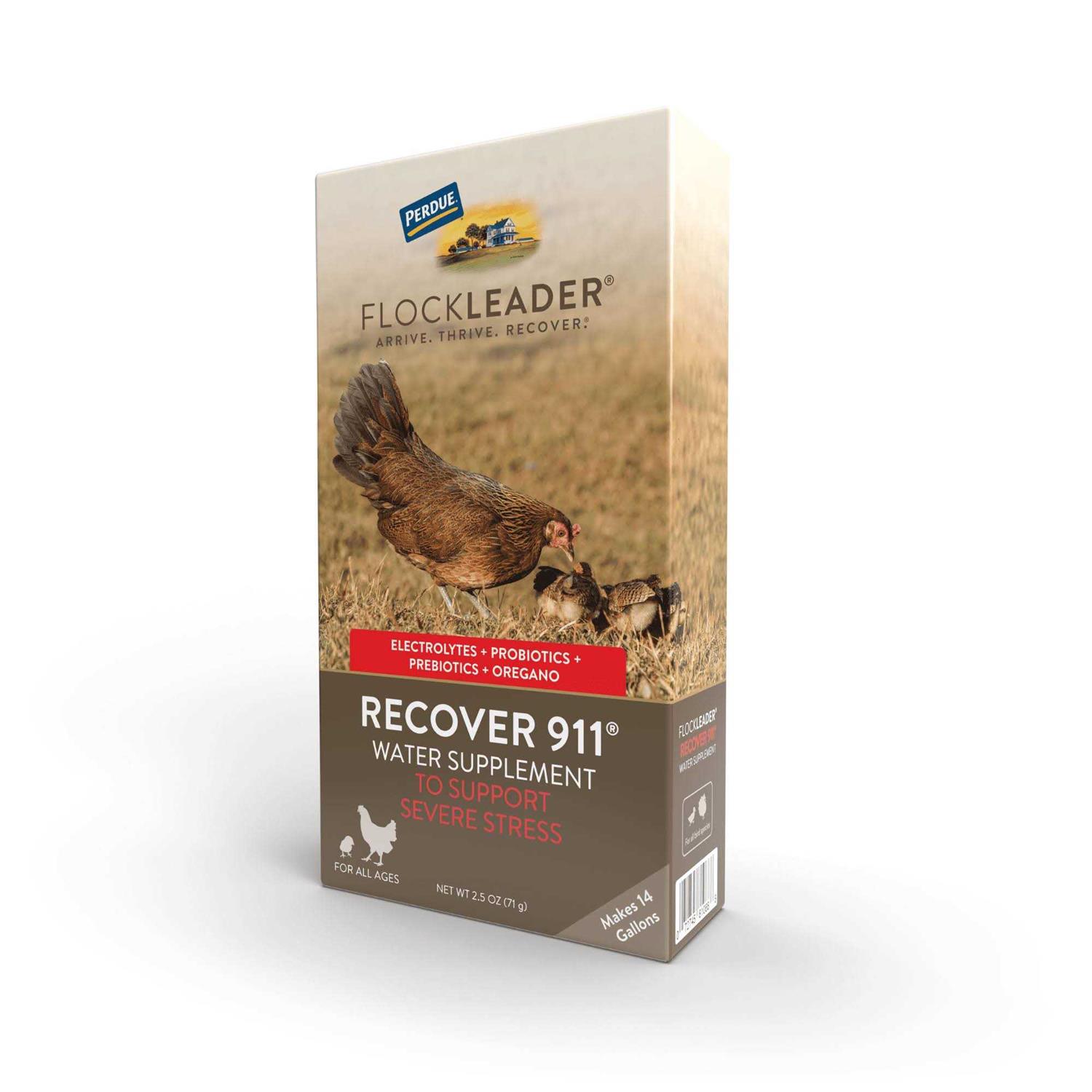 Flockleader Recover 911 Poultry Supplement - Healthber