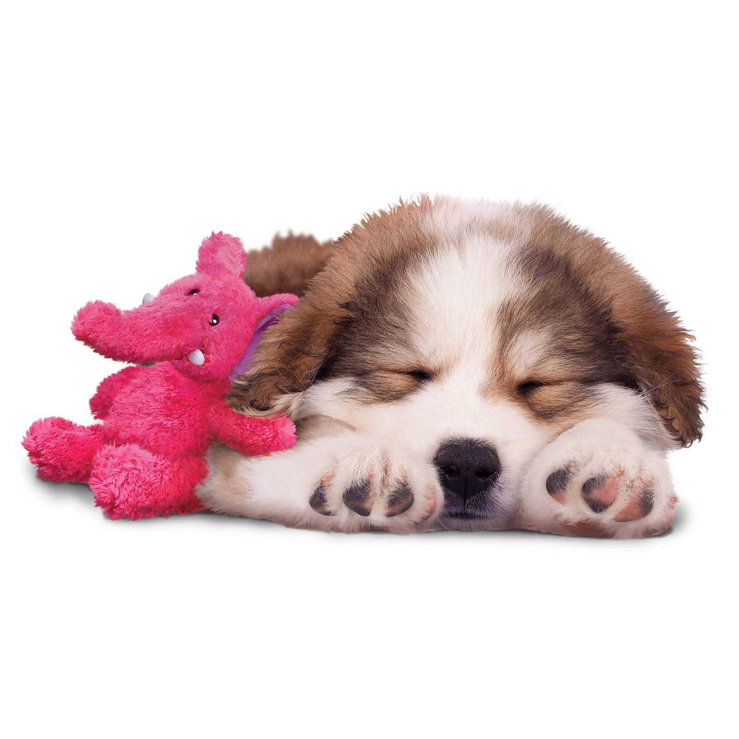 KONG Cozie Rosie Rhino Dog Toy - Healthber