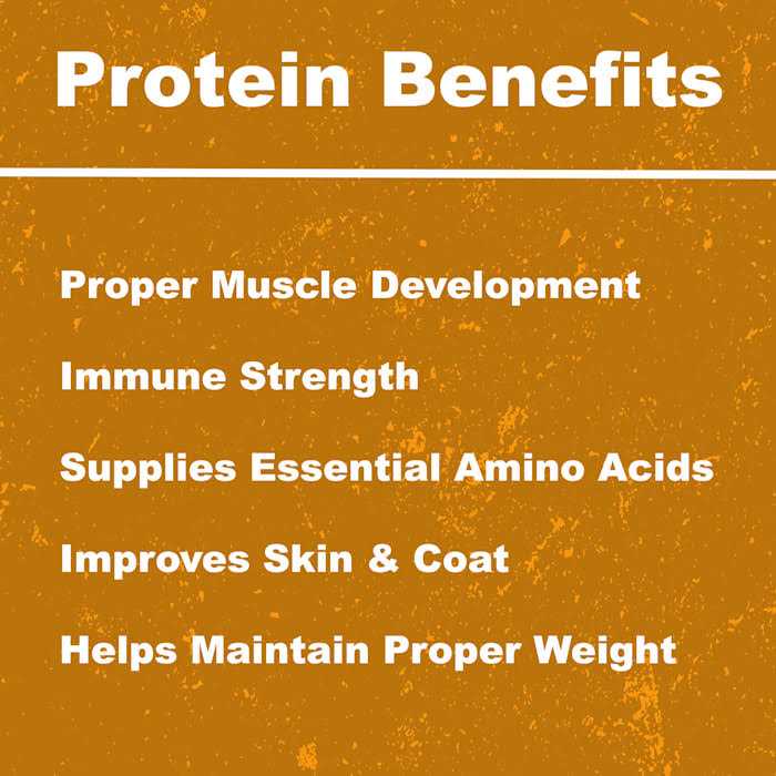 Whole Life Pet Just One Ingredient Freeze-Dried Chicken Dog Treats - Healthber