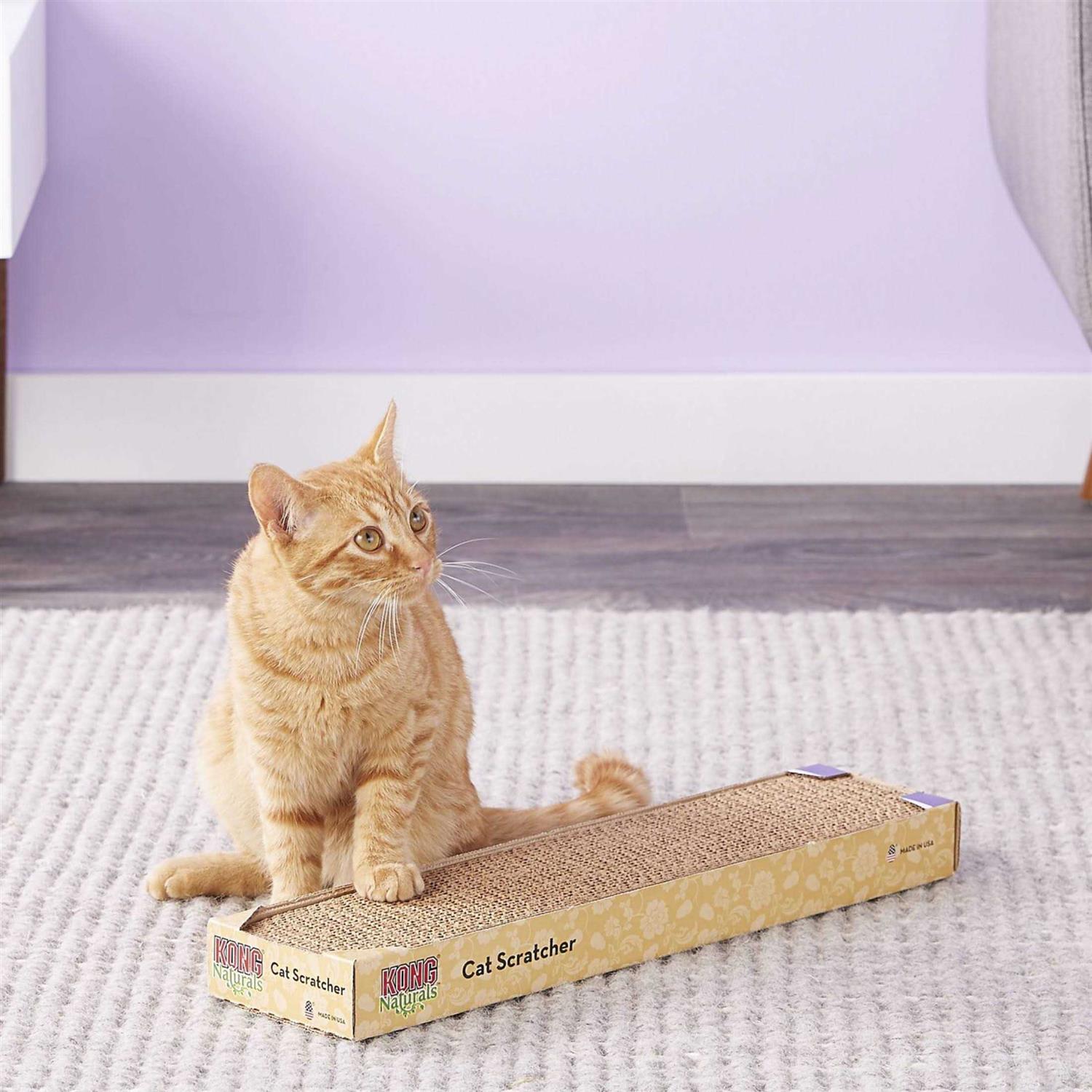 KONG Scratcher Refill for Incline-Double Scratcher - Healthber
