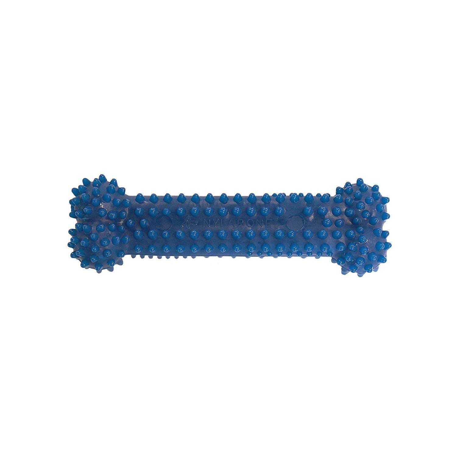 Nylabone Dental Chew - Healthber