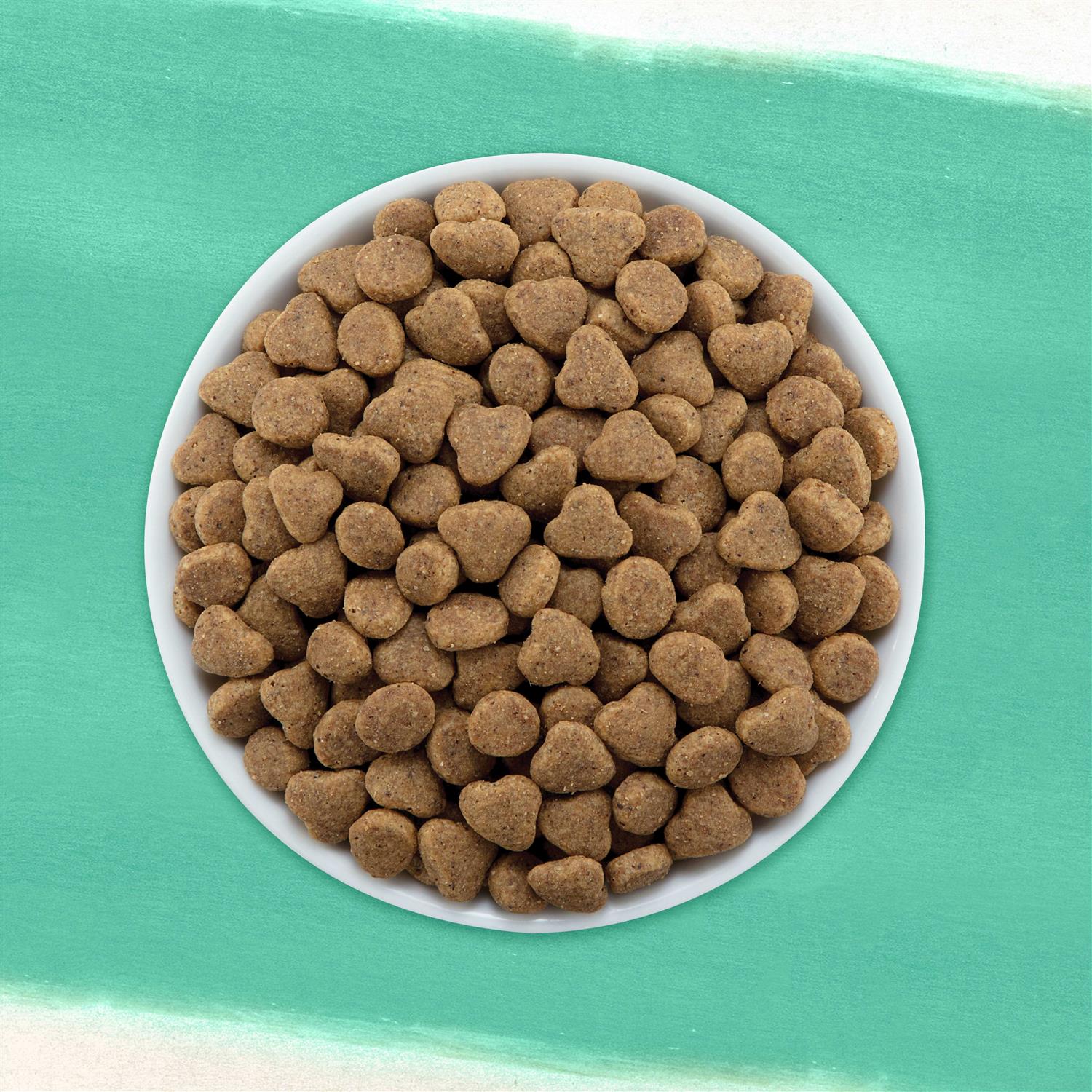 Purina Beyond Grain Free Dry Cat Food - Healthber