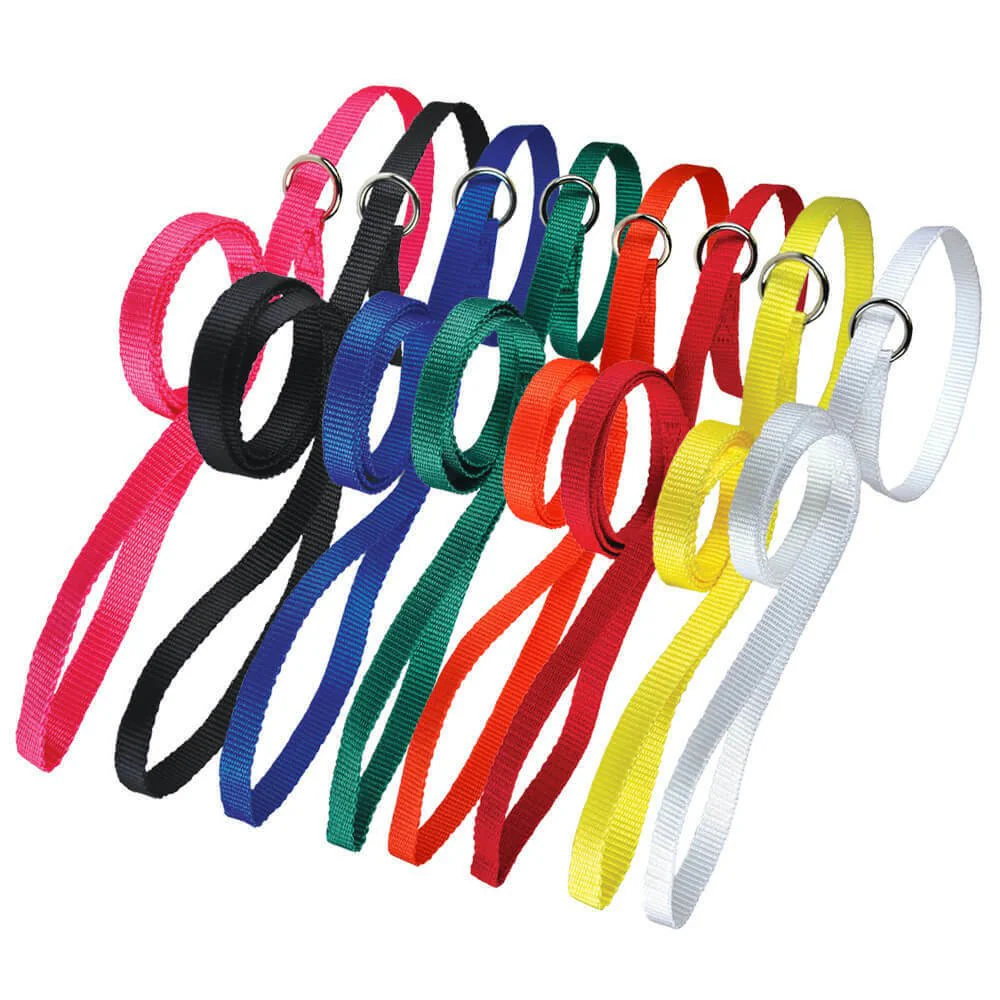 Lead Nylon Kennel Poly, Assorted, 20 pk, 4' x 1/2