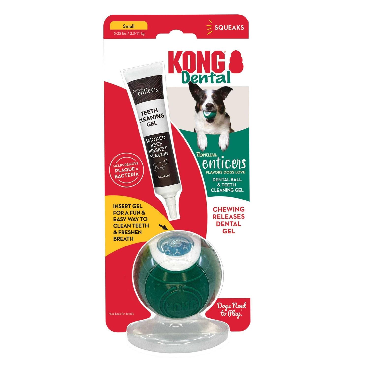 Kong Dental Ball & Teeth Cleaning Gel Dog Toy - Healthber