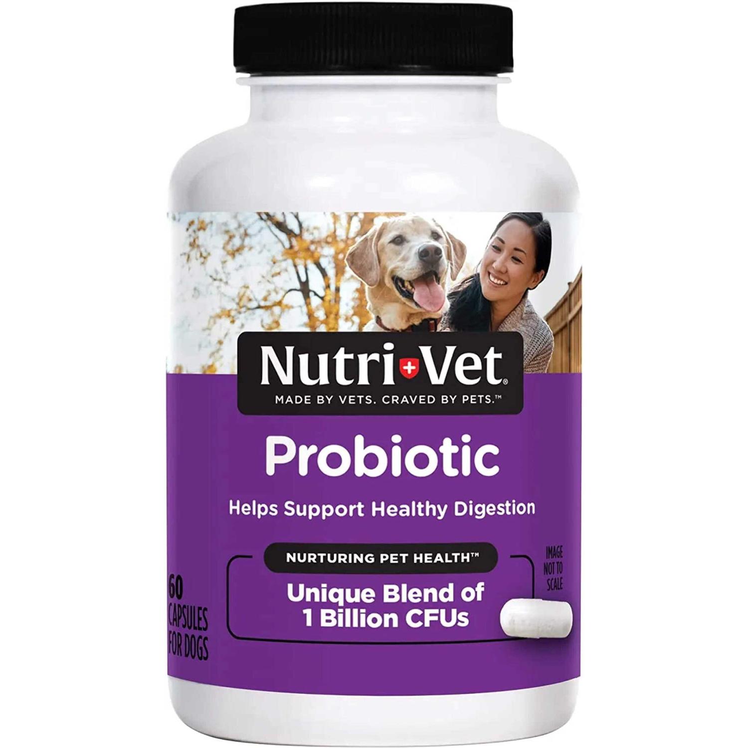 Nutri-Vet Probiotics for Dogs - Healthber