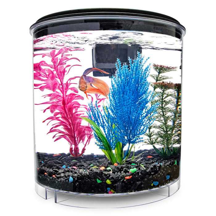 Imagitarium 2 Gallon Cumberland Tank - Healthber