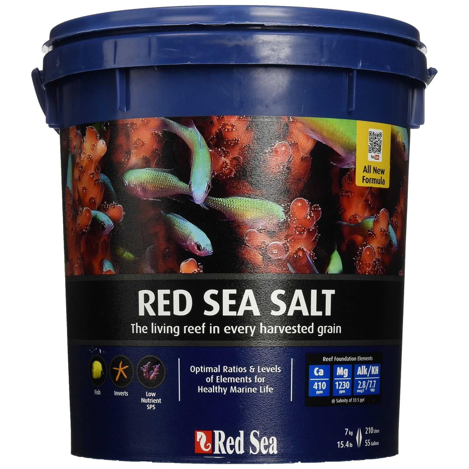 Red Sea Salt - Healthber