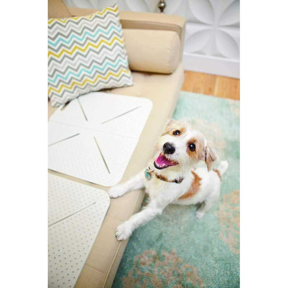 Mammoth X Mat Original Pet Training Aid - Healthber