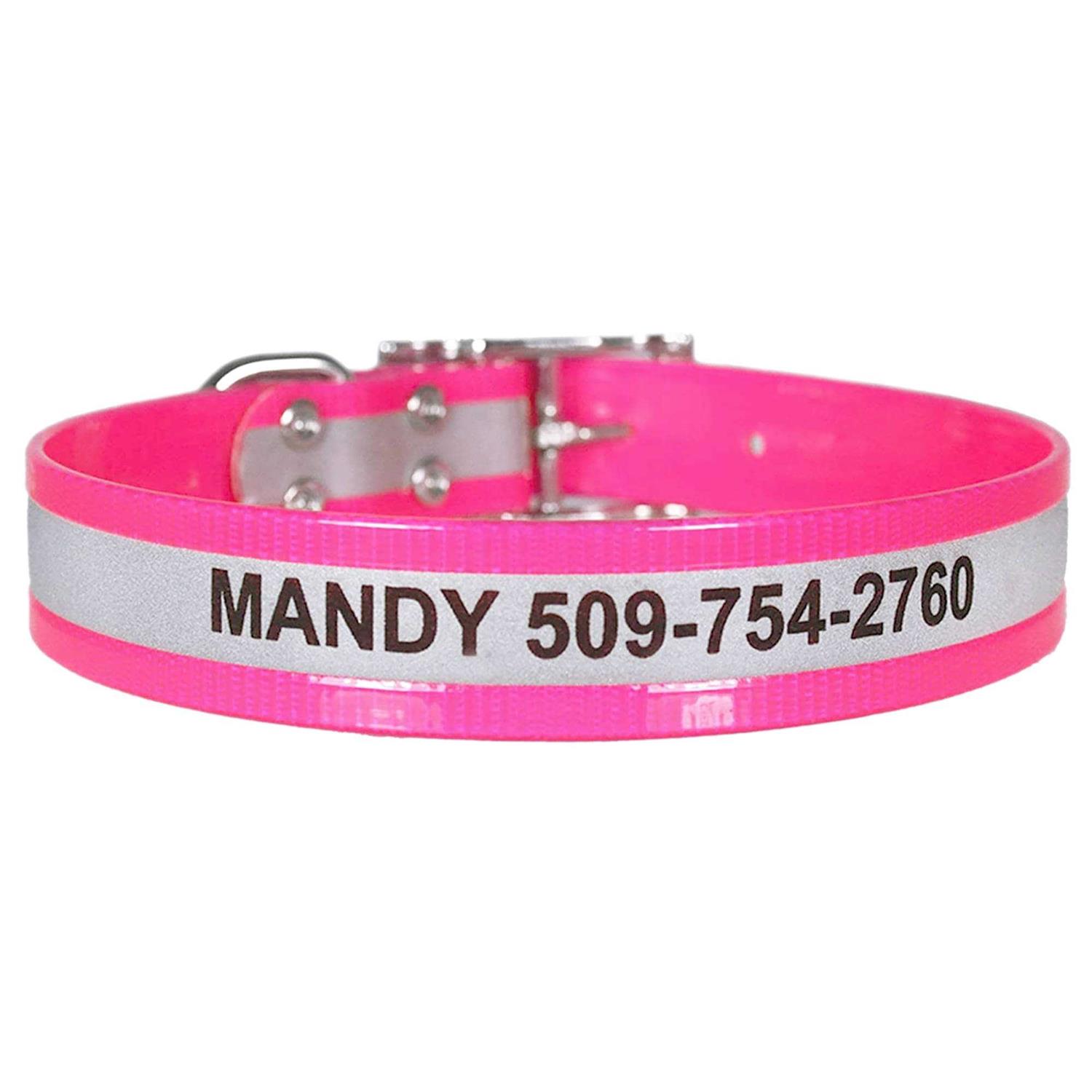 GoTags Adjustable Nameplate Personalized Dog Collar - Healthber