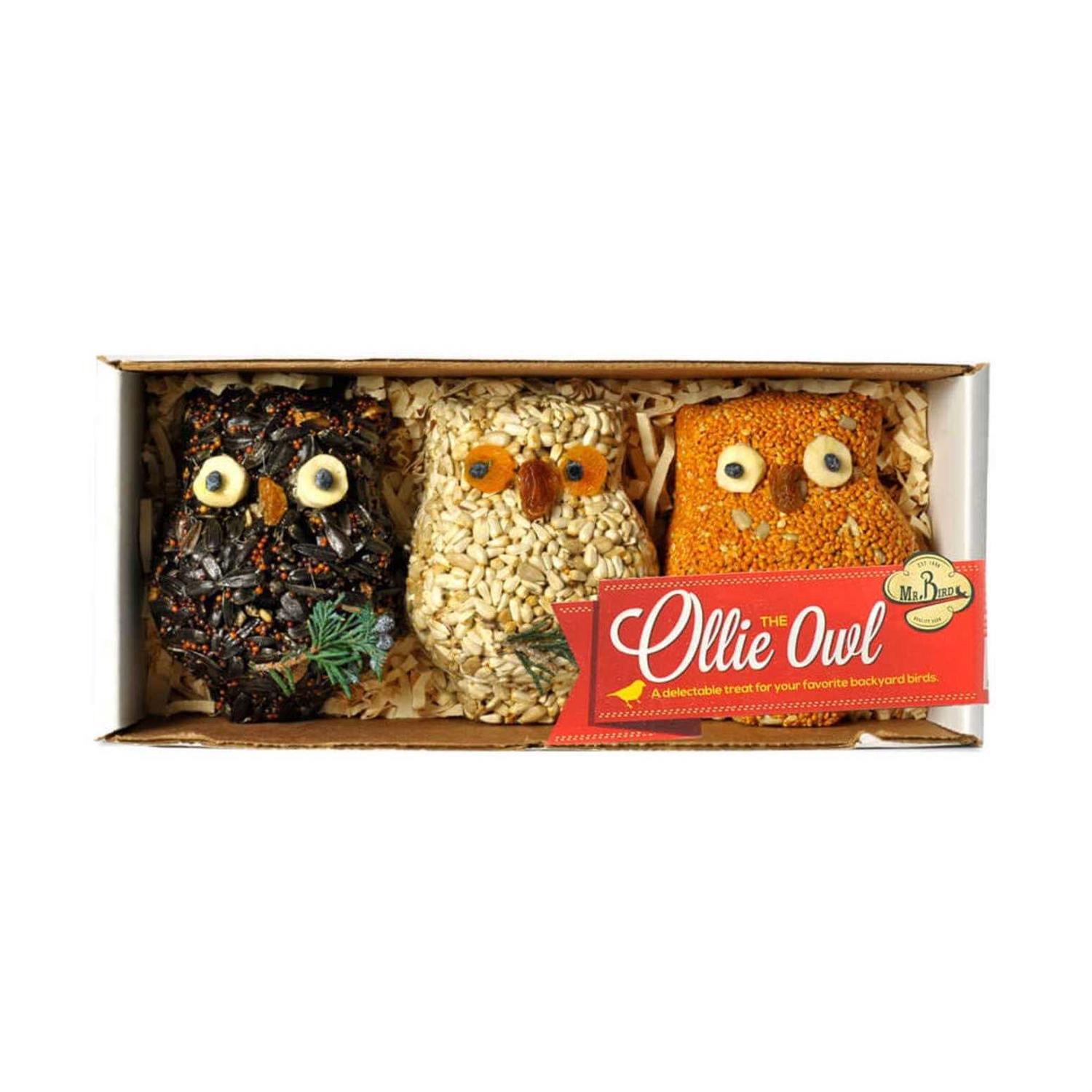 Mr. Bird Ollie Owl Bird Seed Ornaments - Healthber