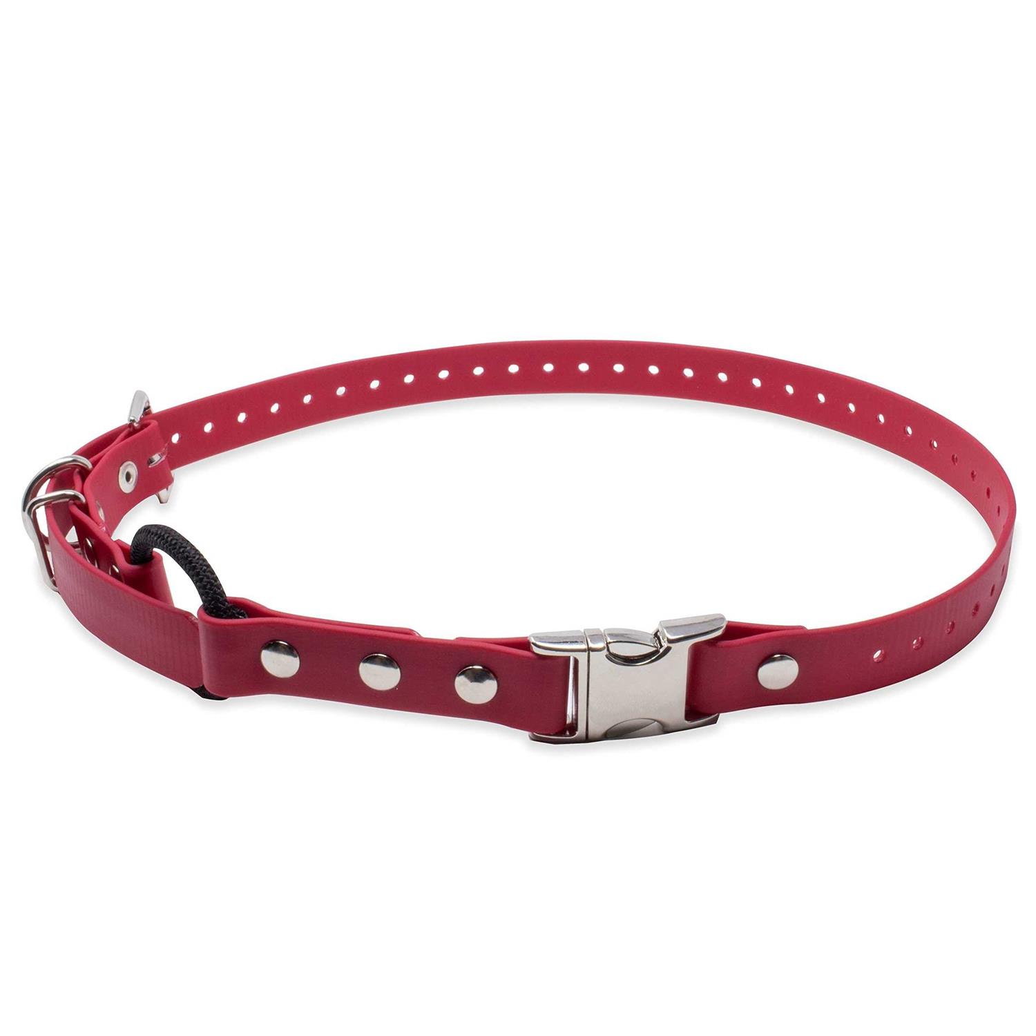Educator Quick Snap Bungee Collar - Healthber