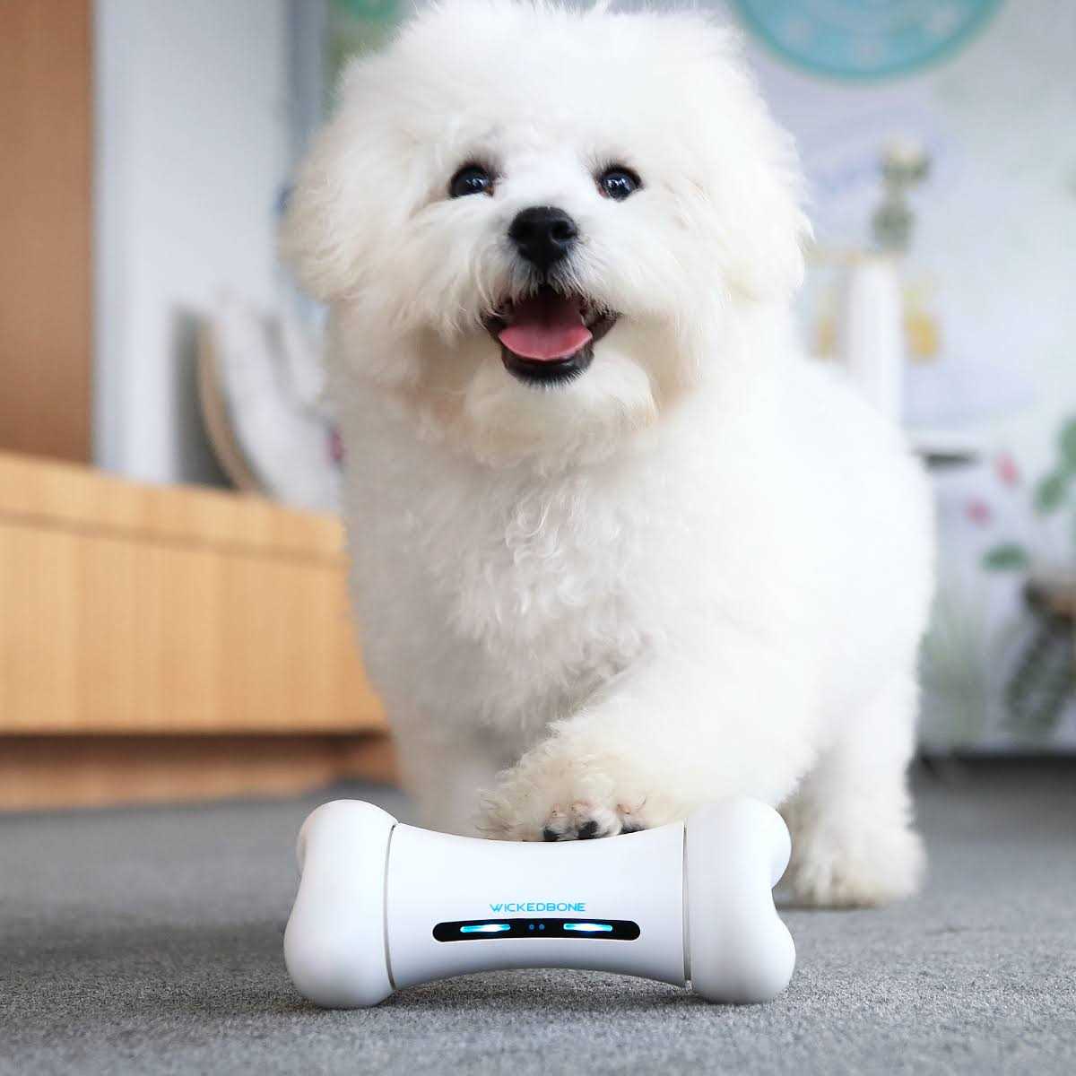 Cheerble Wickedbone 100% Automatic Interactive Toys for Dogs - Healthber