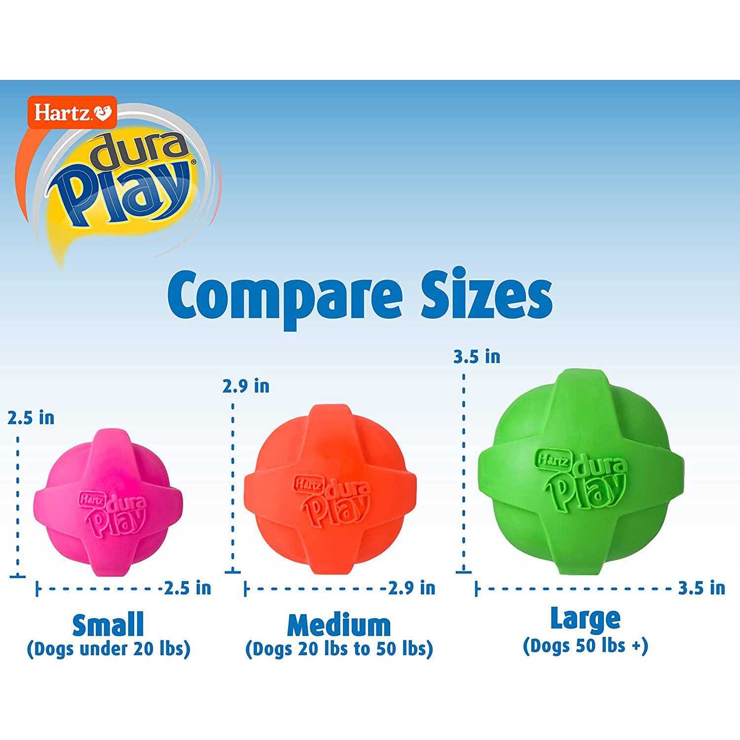 Hartz Dura Play Ball Squeaky Latex Dog Toy - Healthber