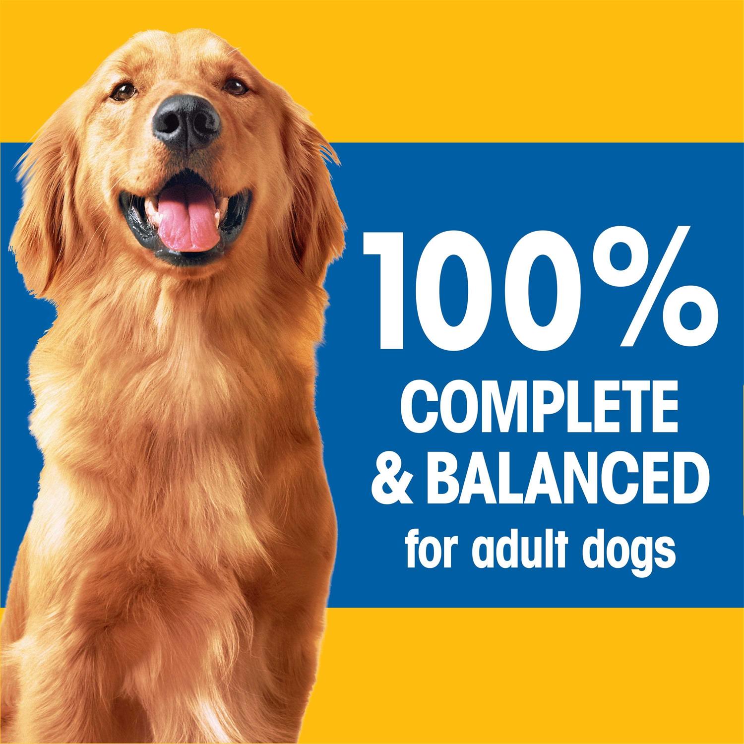 Pedigree Complete Nutrition Adult Dry Dog Food - Healthber