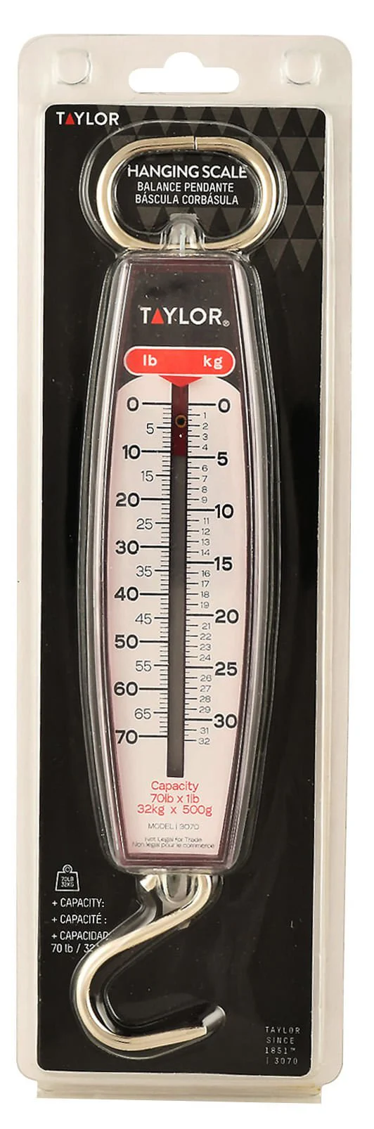 Taylor Hanging Scales - Healthber