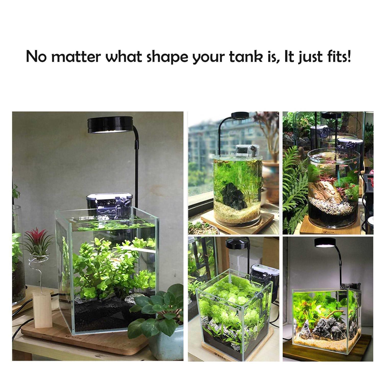 HIRO Aquatics Full Spectrum LED Light with Bamboo Board fits Aquarium Nano Tank - Healthber