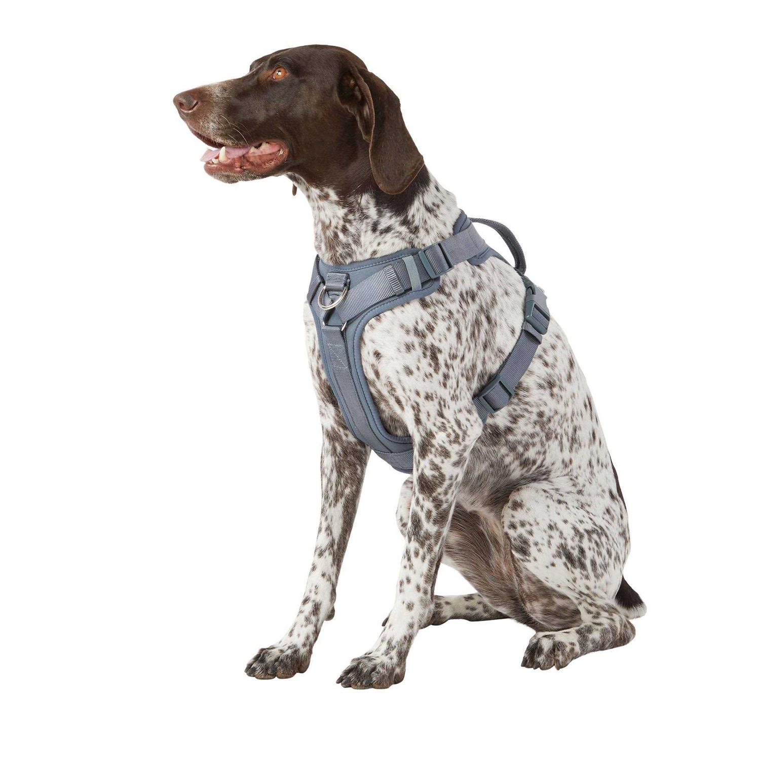Top Paw Core Fashion Adjustable Comfort Dog Harness - Healthber
