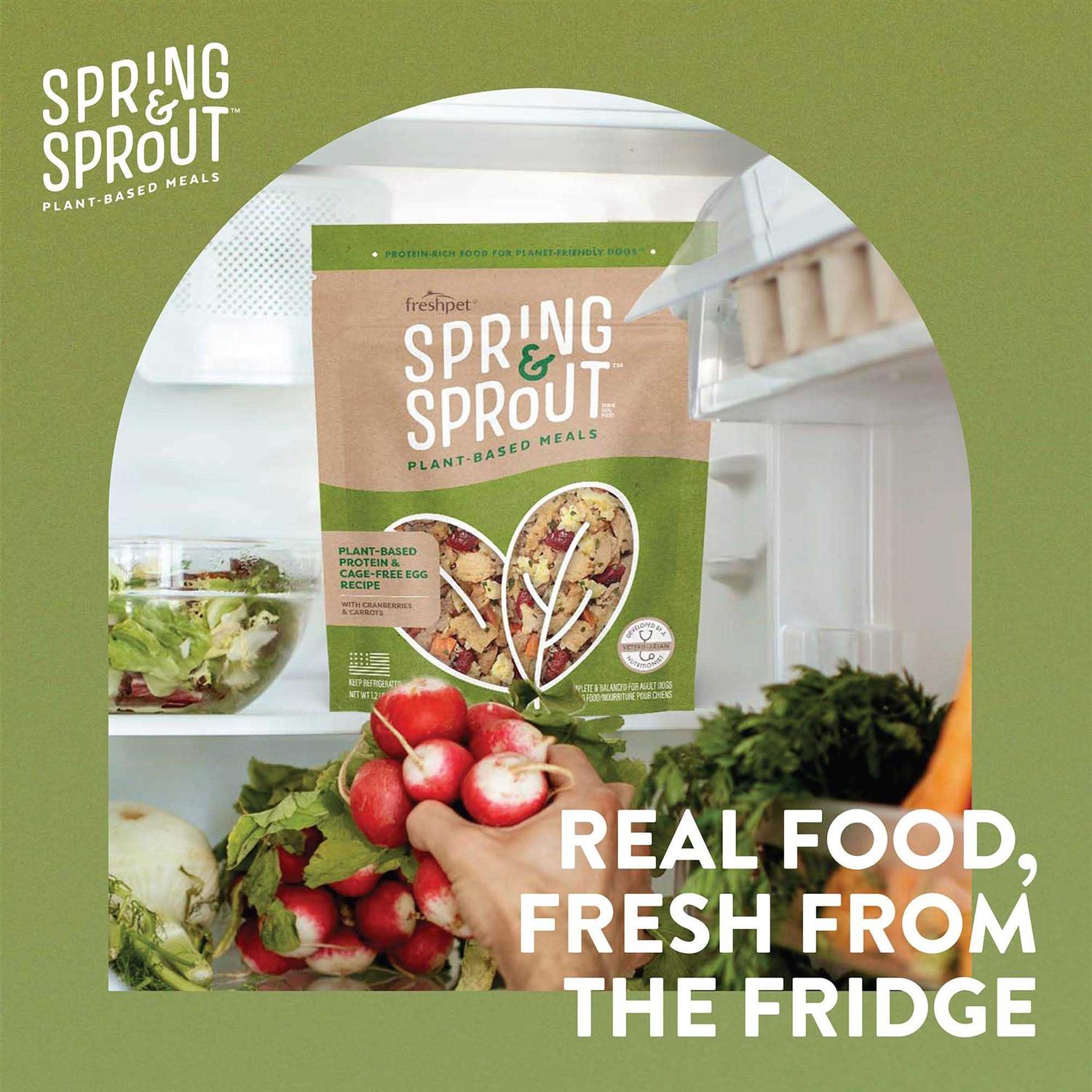 Freshpet Spring & Sprout Dog Food Plant-Based Protein & Cage-Free Egg Recipe - Healthber