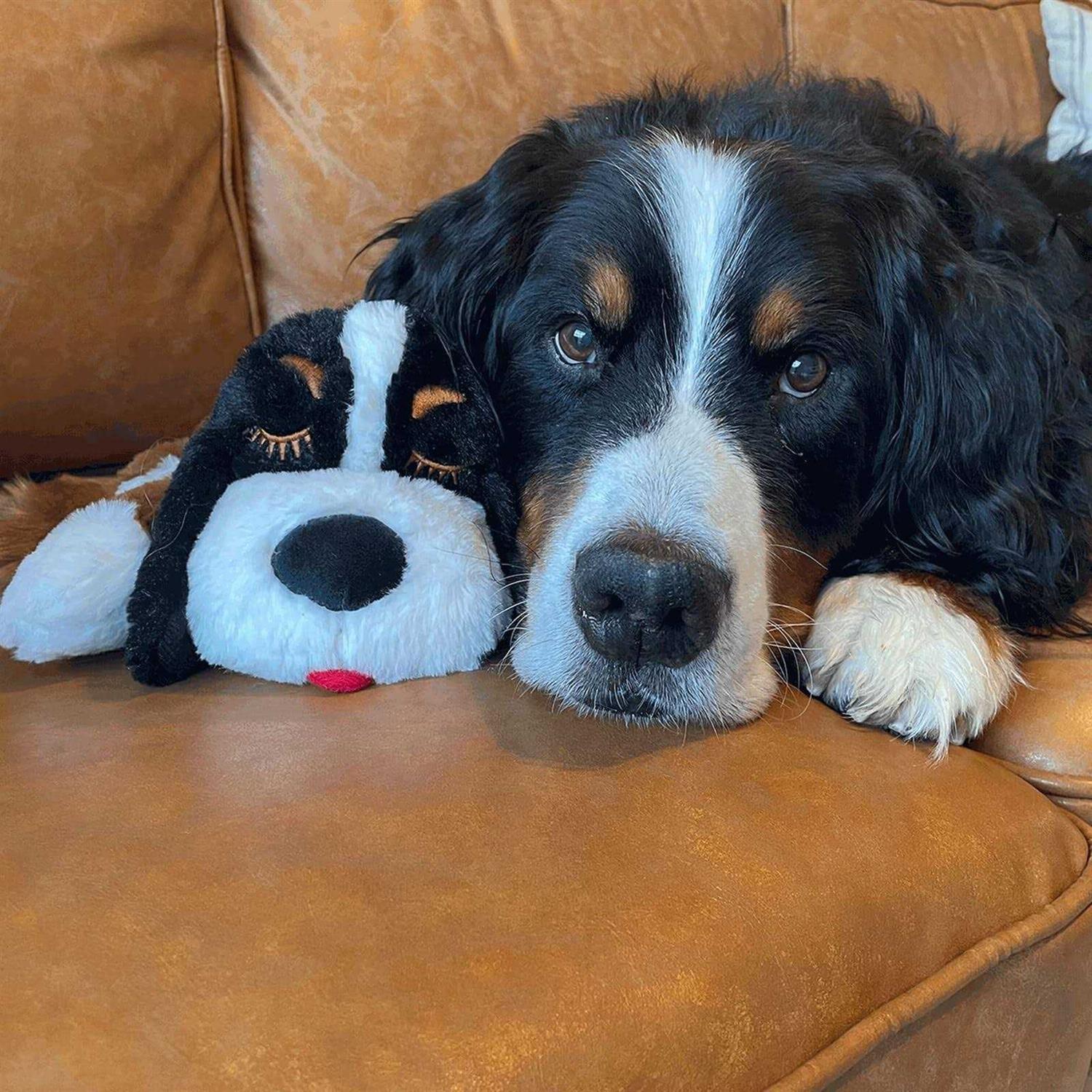 Snuggle Puppy Plus Smart Heartbeat Toy for Pet Anxiety Relief - Healthber