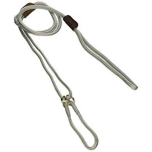 Mendota Martingale Show Lead - Healthber
