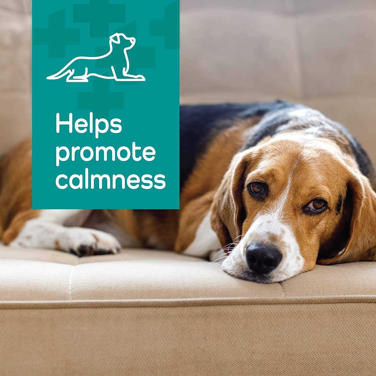 Vetality Hemp Helpers Collar for Dogs - Healthber