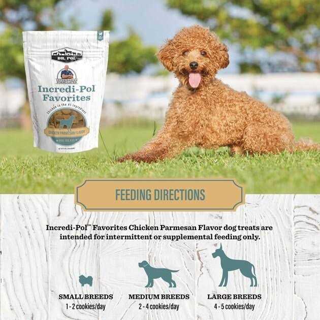 Dr. Pol Incredi-Pol Favorites Parmesan Chicken Flavor Crunchy Dog Treats - Healthber