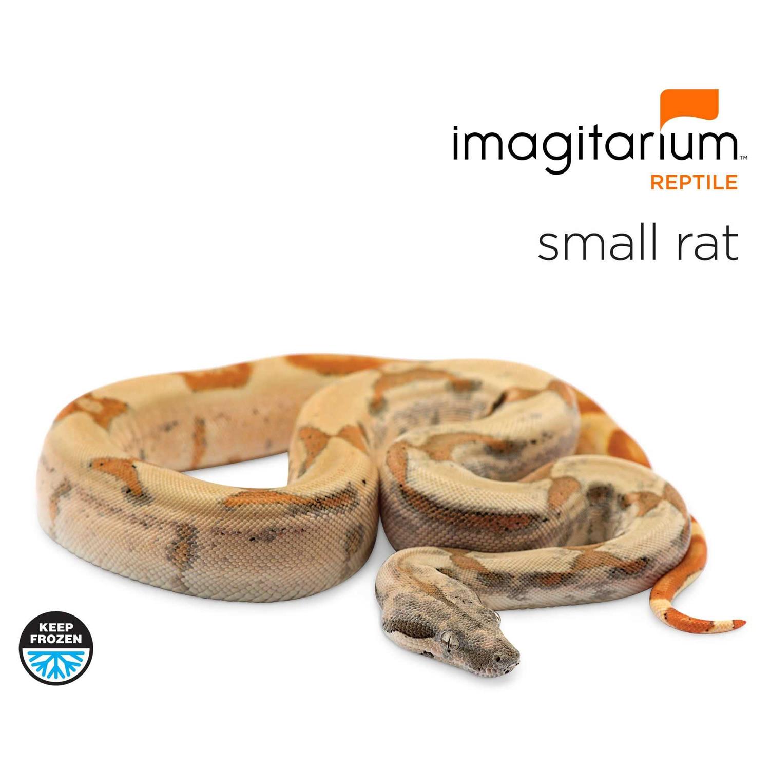 Frozen Small Rat - Healthber