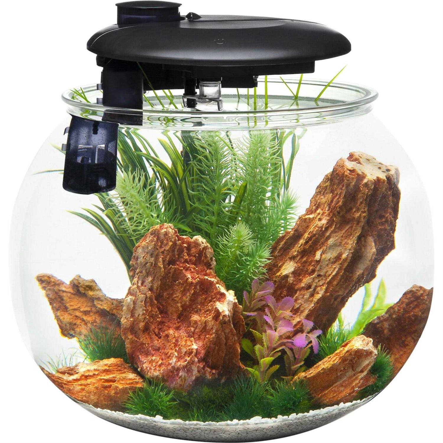 Penn-Plax Aquasphere 360 Polycarbonate Bowl-Shaped Aquarium 14 Gallon - Healthber