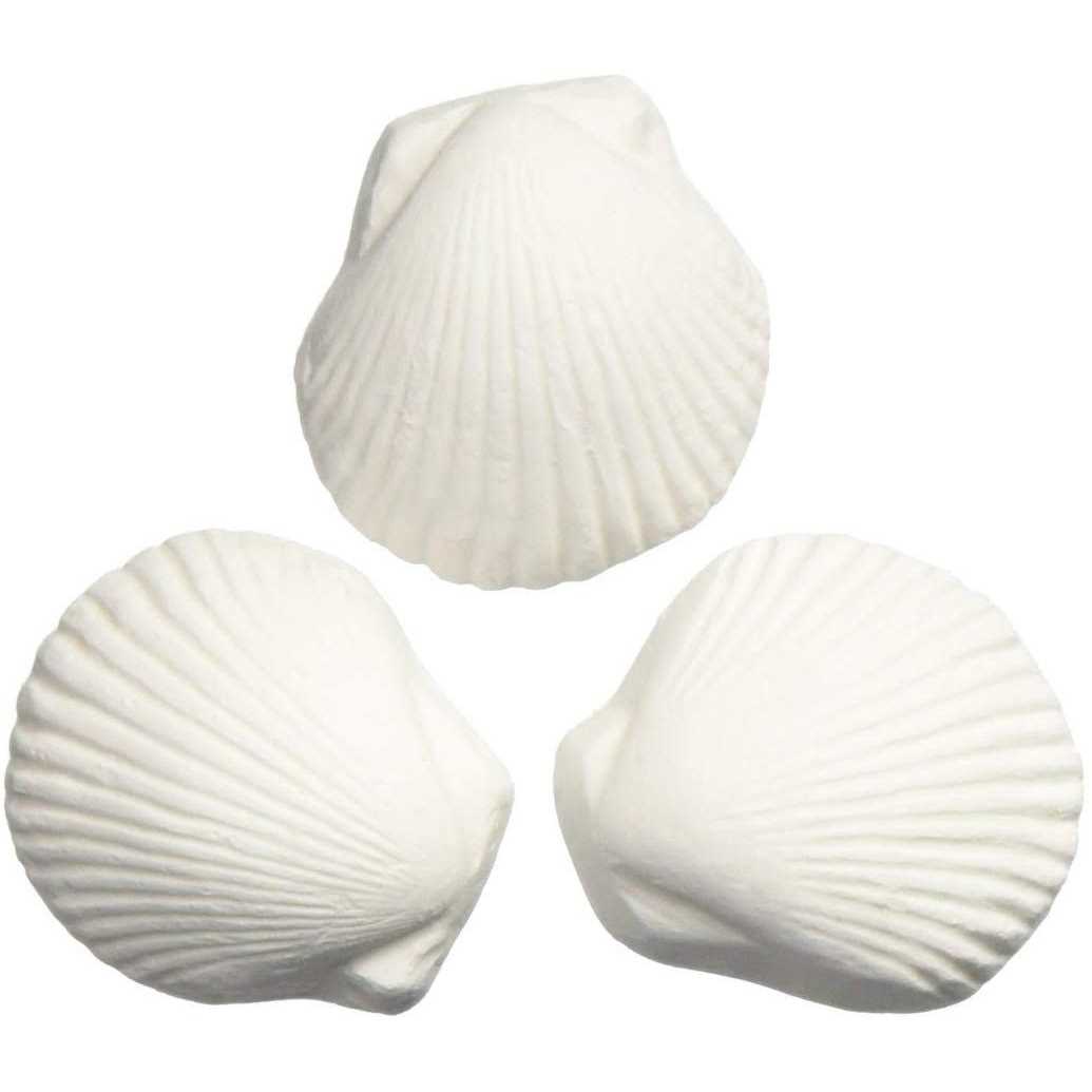 Weco Wonder Shell-Large - Healthber