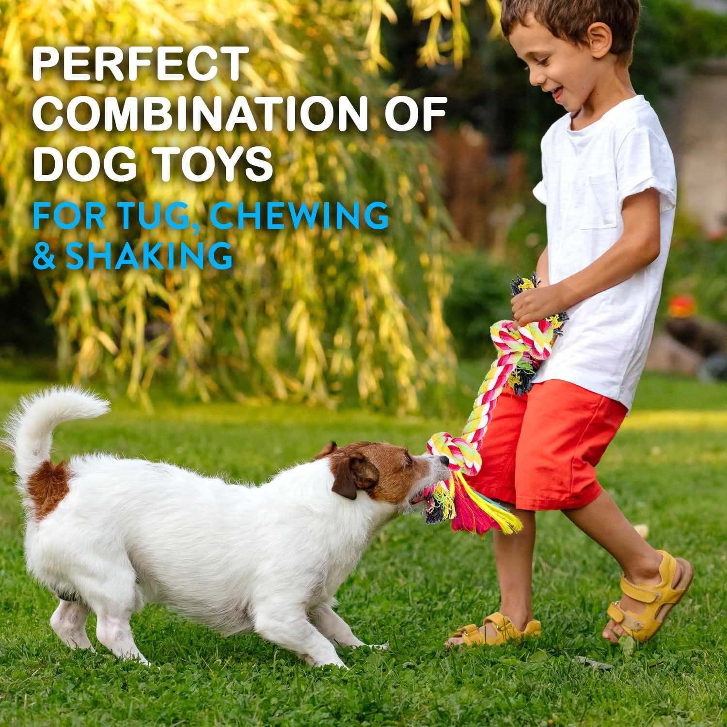 Pacific Pups Products Dog Rope Toys Pack of 11 Dog Teething Toys for Aggressive Chewers - Healthber